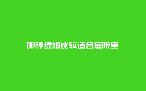 哪种绿植比较适合庭院里