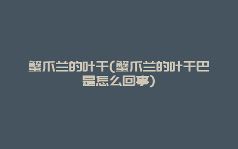 蟹爪兰的叶干(蟹爪兰的叶干巴是怎么回事)