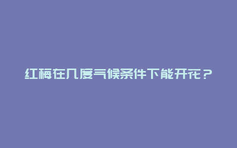 红梅在几度气候条件下能开花？