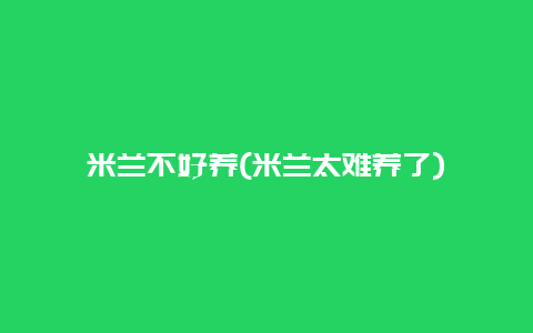 米兰不好养(米兰太难养了)