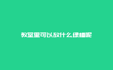 教室里可以放什么绿植呢