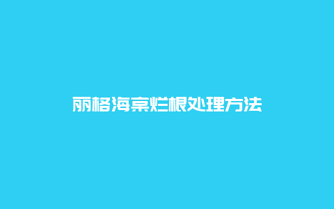 丽格海棠烂根处理方法