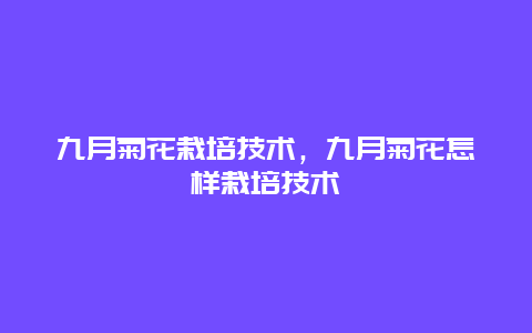 九月菊花栽培技术，九月菊花怎样栽培技术