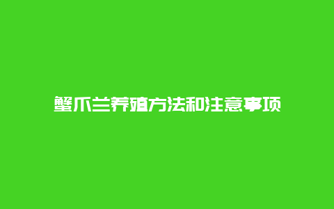 蟹爪兰养殖方法和注意事项