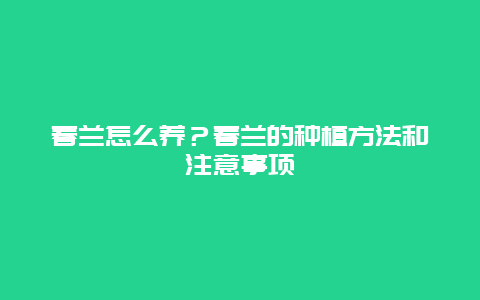 春兰怎么养？春兰的种植方法和注意事项