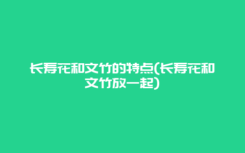 长寿花和文竹的特点(长寿花和文竹放一起)