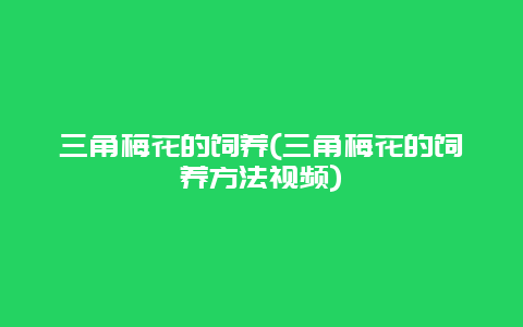 三角梅花的饲养(三角梅花的饲养方法视频)