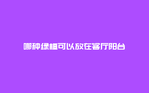 哪种绿植可以放在客厅阳台