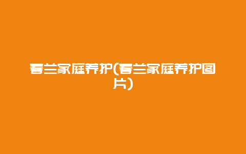 春兰家庭养护(春兰家庭养护图片)