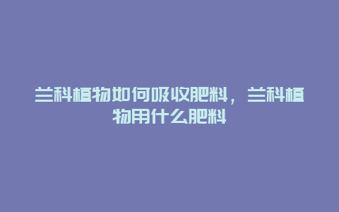 兰科植物如何吸收肥料，兰科植物用什么肥料