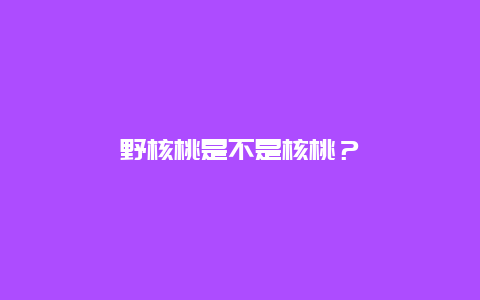 野核桃是不是核桃？