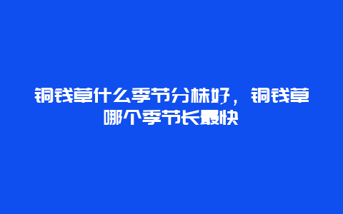 铜钱草什么季节分株好，铜钱草哪个季节长最快