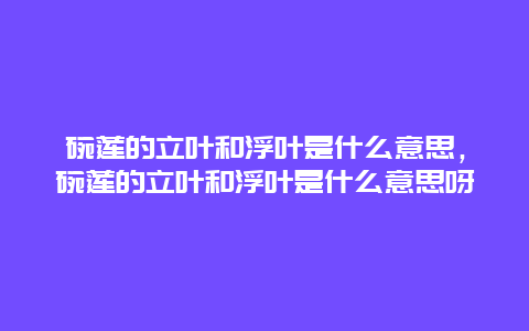 碗莲的立叶和浮叶是什么意思，碗莲的立叶和浮叶是什么意思呀