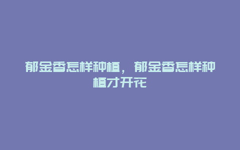 郁金香怎样种植，郁金香怎样种植才开花