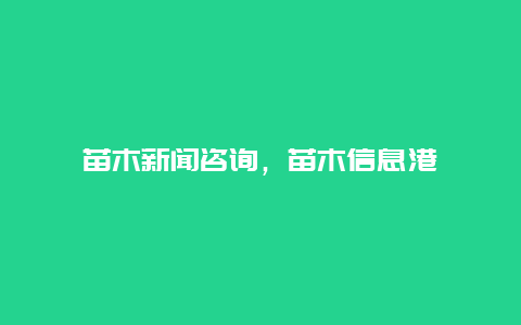 苗木新闻咨询，苗木信息港