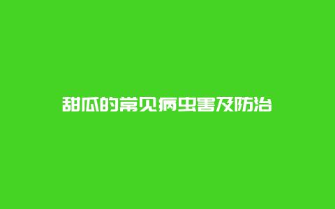 甜瓜的常见病虫害及防治