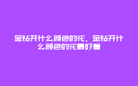 金钻开什么颜色的花，金钻开什么颜色的花最好看