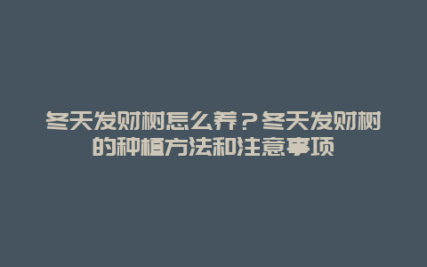 冬天发财树怎么养？冬天发财树的种植方法和注意事项