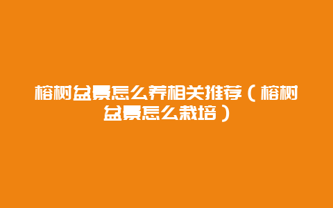 榕树盆景怎么养相关推荐（榕树盆景怎么栽培）