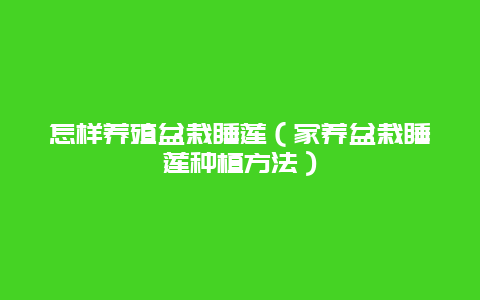 怎样养殖盆栽睡莲（家养盆栽睡莲种植方法）