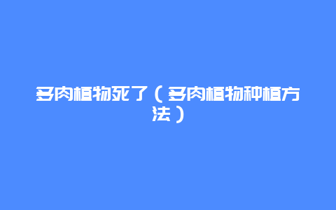 多肉植物死了（多肉植物种植方法）