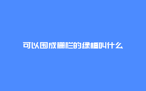 可以围成栅栏的绿植叫什么