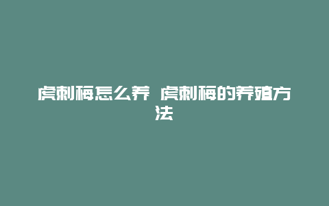 虎刺梅怎么养 虎刺梅的养殖方法