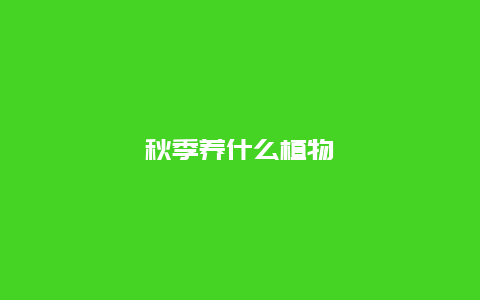 秋季养什么植物