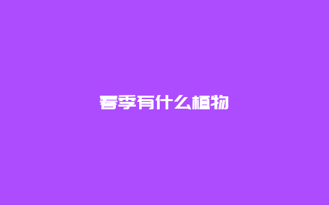 春季有什么植物