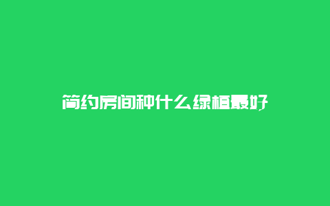 简约房间种什么绿植最好