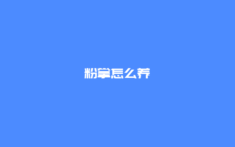 粉掌怎么养