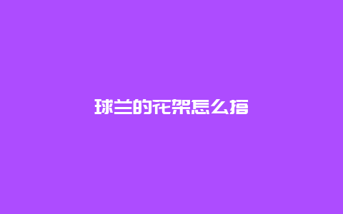 球兰的花架怎么搭