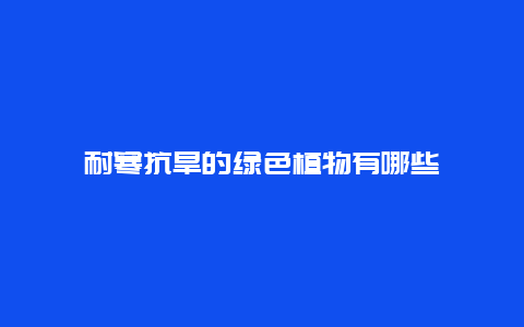 耐寒抗旱的绿色植物有哪些