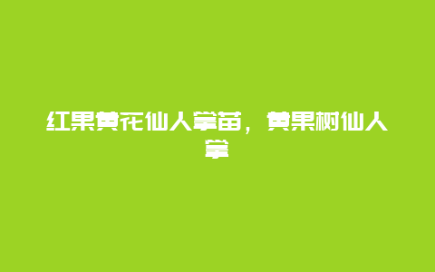 红果黄花仙人掌苗，黄果树仙人掌