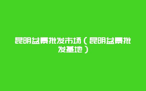 昆明盆景批发市场（昆明盆景批发基地）