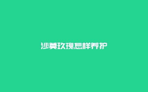 沙莫玖瑰怎样养护