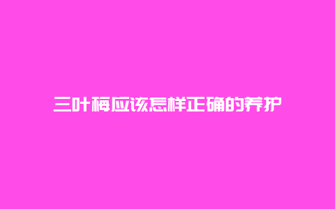 三叶梅应该怎样正确的养护