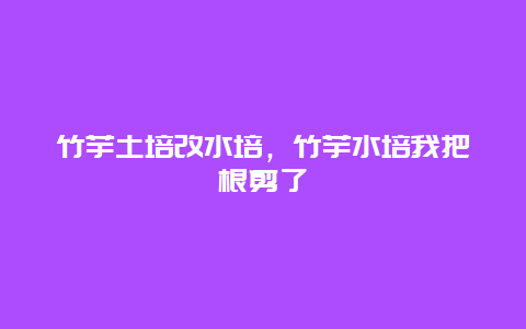 竹芋土培改水培，竹芋水培我把根剪了