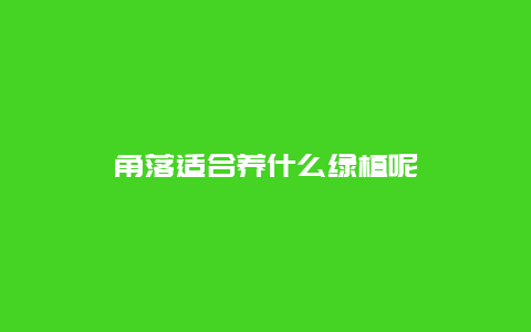 角落适合养什么绿植呢