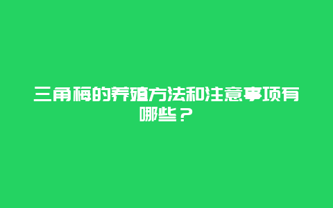 三角梅的养殖方法和注意事项有哪些？