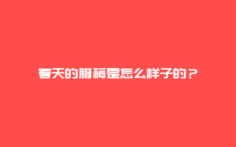 春天的腊梅是怎么样子的？