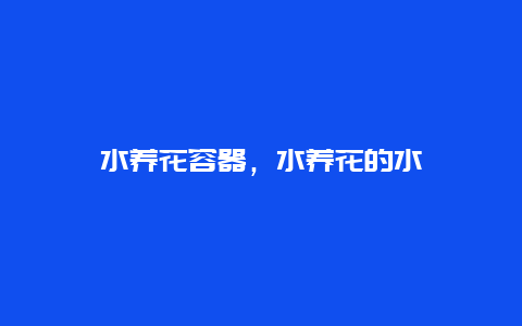 水养花容器，水养花的水