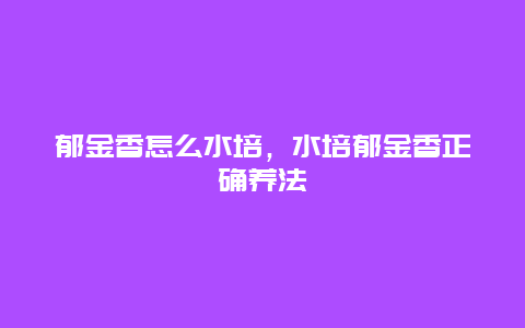 郁金香怎么水培，水培郁金香正确养法