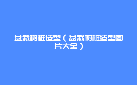 盆栽树桩造型（盆栽树桩造型图片大全）