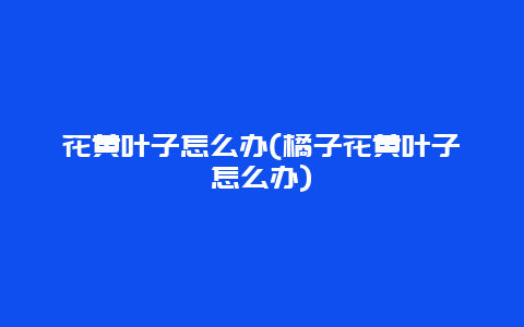 花黄叶子怎么办(橘子花黄叶子怎么办)