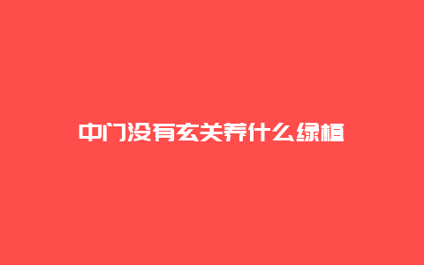 中门没有玄关养什么绿植