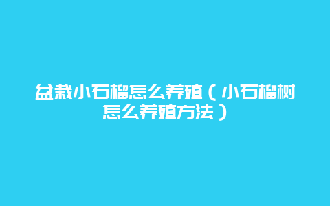 盆栽小石榴怎么养殖（小石榴树怎么养殖方法）