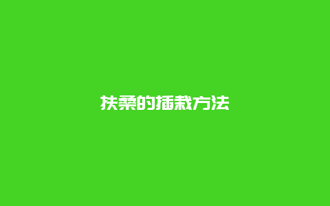 扶桑的插栽方法