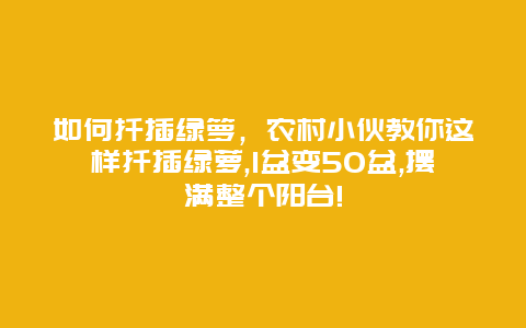 如何扦插绿箩，农村小伙教你这样扦插绿萝,1盆变50盆,摆满整个阳台!