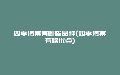 四季海棠有哪些品种(四季海棠有啥优点)